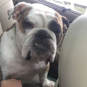 Meet your Posher, Sharman